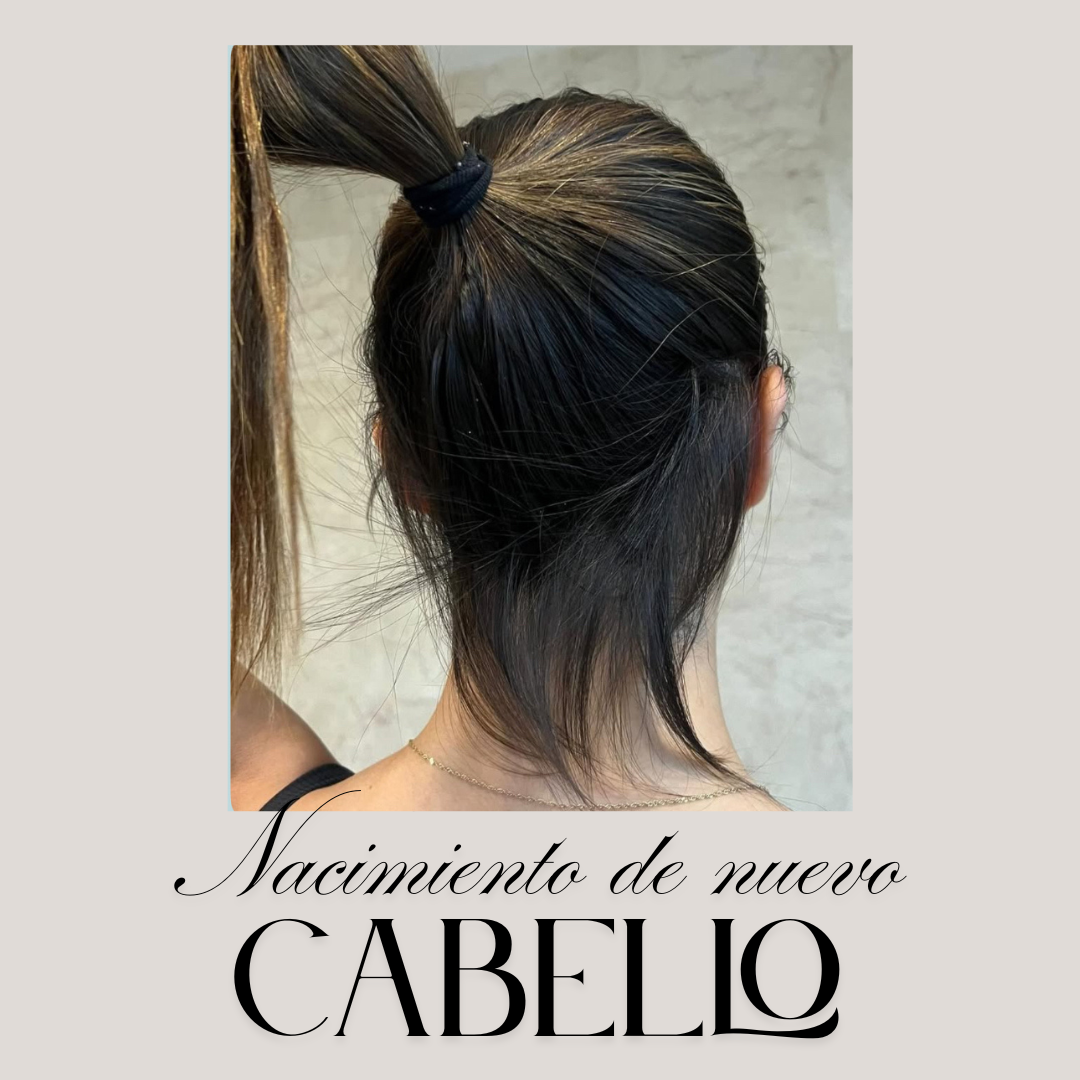 Dúo nutricion romero y miel 🍯 (CABELLO FINO y graso)