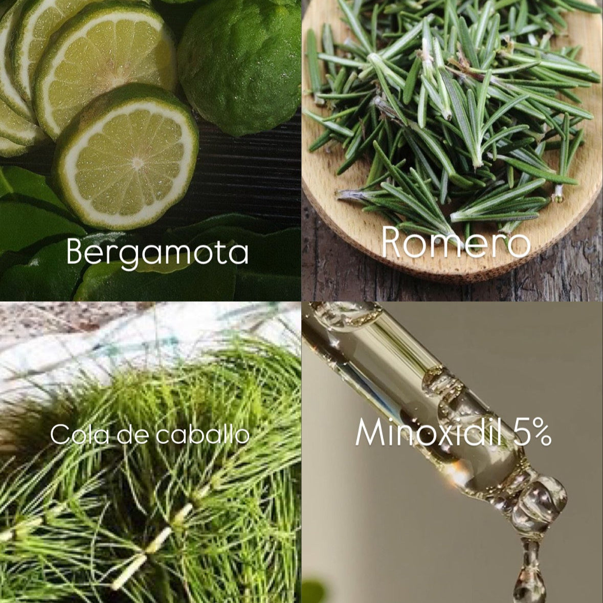 Kit Folliboost “Impulso Máximo de crecimiento”🍃